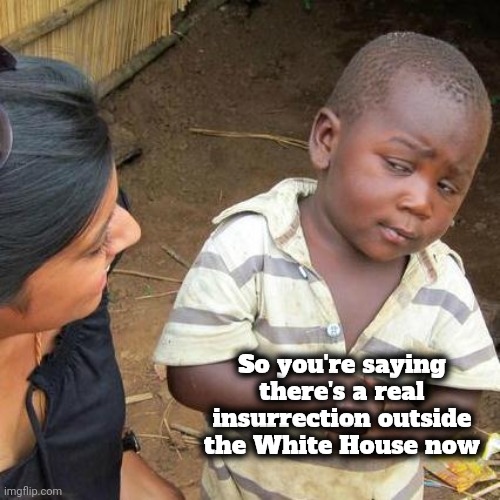 Third World Skeptical Kid Meme | So you're saying there's a real insurrection outside the White House now | image tagged in memes,third world skeptical kid | made w/ Imgflip meme maker