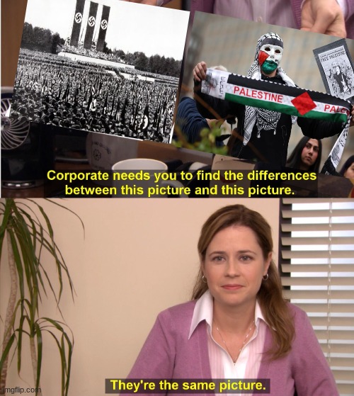 Palestine meme | image tagged in memes,they're the same picture,palestine,germany,neo-nazis,liberals | made w/ Imgflip meme maker