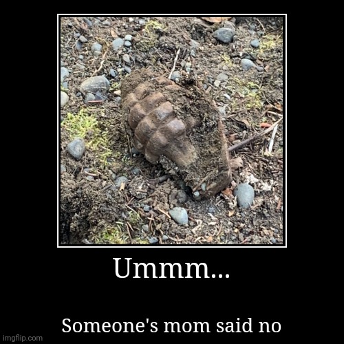 Someone's momma said no | Ummm... | Someone's mom said no | image tagged in funny,demotivationals | made w/ Imgflip demotivational maker