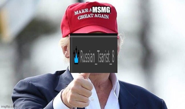 Make America Great Again | MSMG | image tagged in make america great again | made w/ Imgflip meme maker