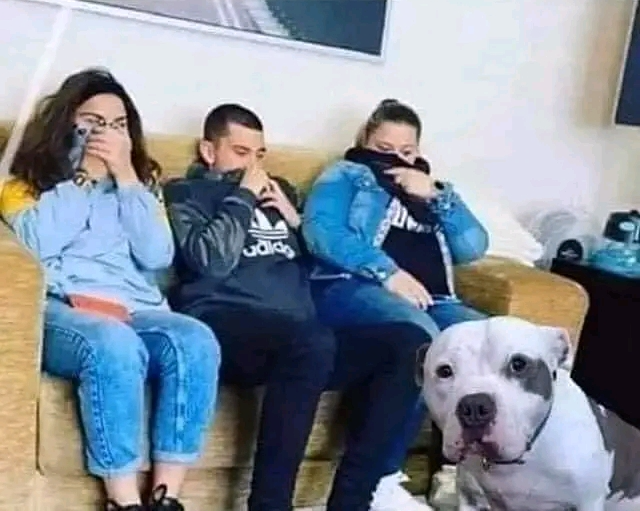 Chris Joines Blank Meme Template
