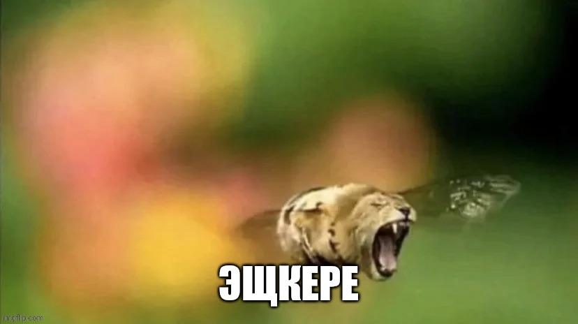 ЭЩКЕРЕ | ЭЩКЕРЕ | image tagged in bee lion | made w/ Imgflip meme maker