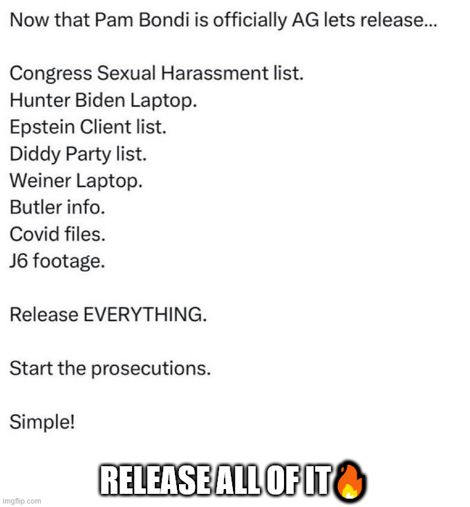 Release those lists | RELEASE ALL OF IT🔥 | image tagged in pam bondi,release the lists,all of them | made w/ Imgflip meme maker