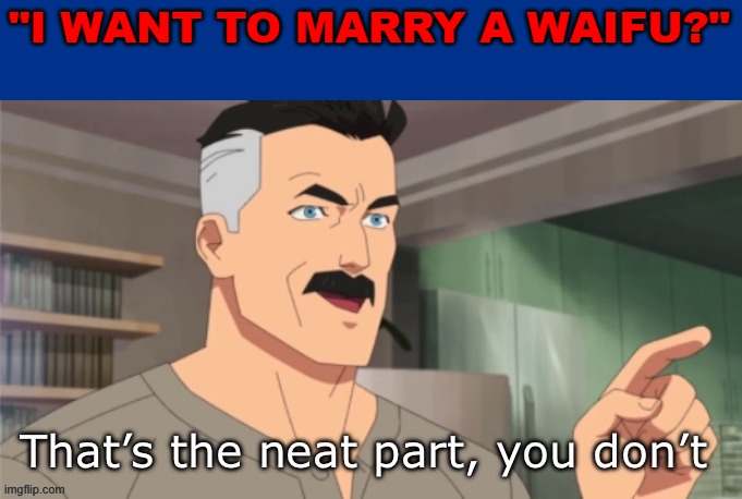 they are not real | "I WANT TO MARRY A WAIFU?" | image tagged in that s the neat part you don t | made w/ Imgflip meme maker