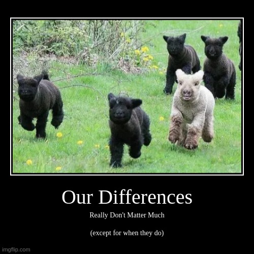 The truth is not always black and white | Our Differences | Really Don't Matter Much
    
(except for when they do) | image tagged in funny,demotivationals | made w/ Imgflip demotivational maker