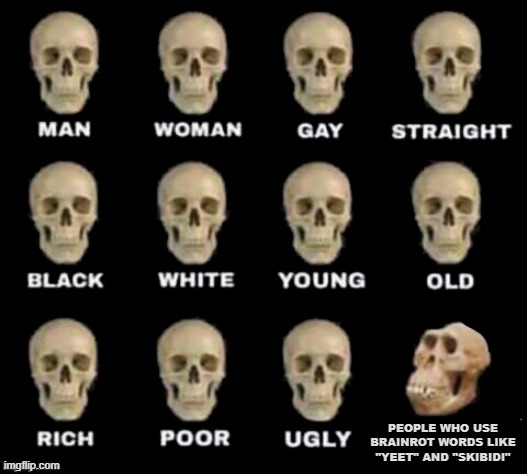 idiot skull | PEOPLE WHO USE BRAINROT WORDS LIKE "YEET" AND "SKIBIDI" | image tagged in idiot skull,brainrot,skibidi toilet sucks,skibidi,yeet | made w/ Imgflip meme maker