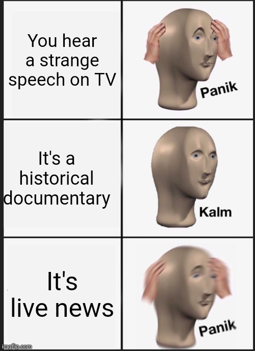 Adolf rizzler | You hear a strange speech on TV; It's a historical documentary; It's live news | image tagged in memes,panik kalm panik | made w/ Imgflip meme maker