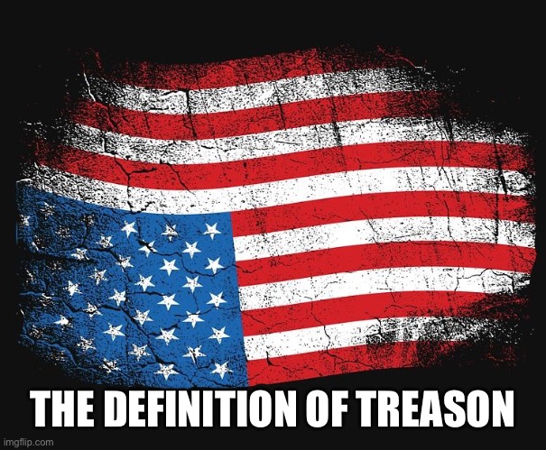 Treason | THE DEFINITION OF TREASON | image tagged in treason | made w/ Imgflip meme maker