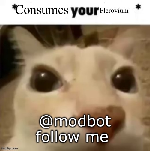 Yakko consumes your flerovium | @modbot

follow me | image tagged in yakko consumes your flerovium | made w/ Imgflip meme maker