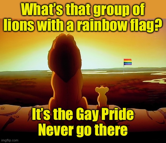 Gay Pride of Lions | What’s that group of lions with a rainbow flag? It’s the Gay Pride
Never go there | image tagged in memes,lion king,gay pride,lions | made w/ Imgflip meme maker