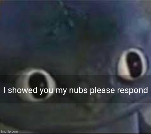 httyd | I showed you my nubs please respond | image tagged in toothless _ face | made w/ Imgflip meme maker