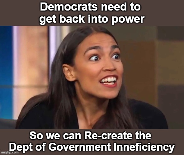 Crazy AOC | Democrats need to 
get back into power; So we can Re-create the 
Dept of Government Inneficiency | image tagged in crazy aoc | made w/ Imgflip meme maker