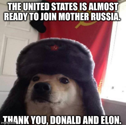 Disinform, Distract, Delay | THE UNITED STATES IS ALMOST READY TO JOIN MOTHER RUSSIA. THANK YOU, DONALD AND ELON. | image tagged in russian doge,memes,sleeper agent,elon musk,donald trump,strange bedfellows | made w/ Imgflip meme maker