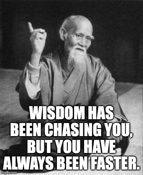 WISDOM HAS BEEN CHASING YOU, BUT YOU HAVE ALWAYS BEEN FASTER. | image tagged in wise old asian | made w/ Imgflip meme maker