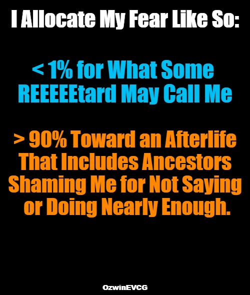 Worries and Imaginings | I Allocate My Fear Like So:; < 1% for What Some 

REEEEEtard May Call Me; > 90% Toward an Afterlife 

That Includes Ancestors 

Shaming Me for Not Saying 

or Doing Nearly Enough. OzwinEVCG | image tagged in worry,imagination,ancestors,action,aspersions,reeeee | made w/ Imgflip meme maker