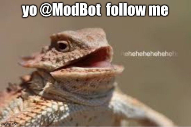 do it | image tagged in followers,good soldiers follow orders | made w/ Imgflip meme maker