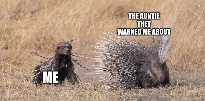 Honey Badger | THE AUNTIE THEY WARNED ME ABOUT; ME | image tagged in honey badger | made w/ Imgflip meme maker