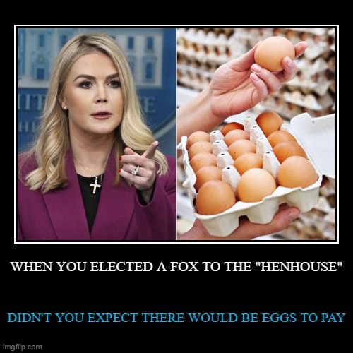 FOX ELECTED TO THE HENHOUSE | WHEN YOU ELECTED A FOX TO THE "HENHOUSE" | DIDN'T YOU EXPECT THERE WOULD BE EGGS TO PAY | image tagged in funny,eggs,donald trump is an idiot | made w/ Imgflip demotivational maker