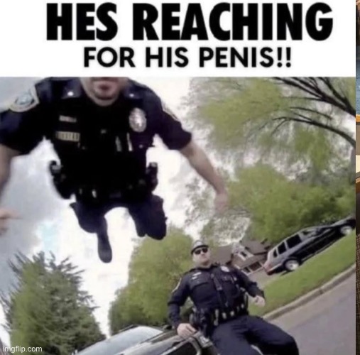 should I reach for my penis next to an officer? | made w/ Imgflip meme maker