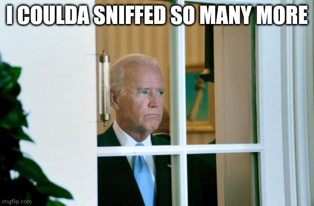 Biden window | I COULDA SNIFFED SO MANY MORE | image tagged in biden window | made w/ Imgflip meme maker