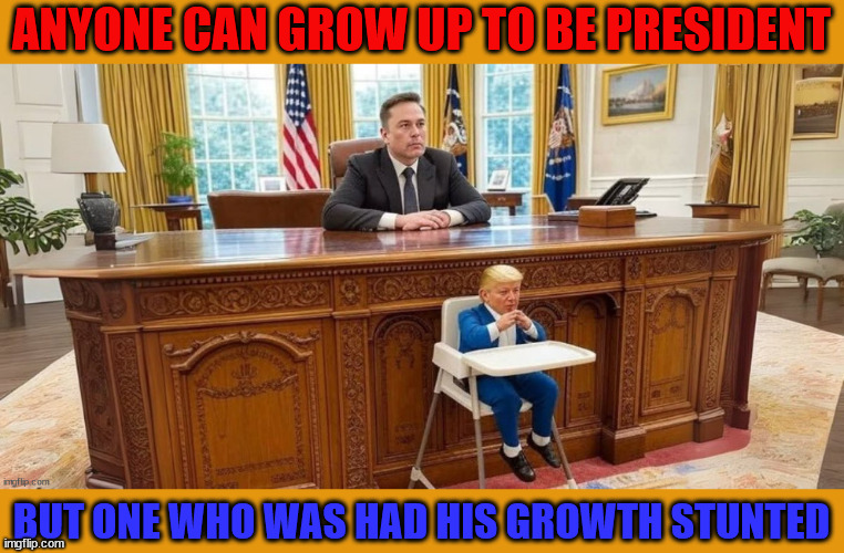 Mini ,Musk | ANYONE CAN GROW UP TO BE PRESIDENT; BUT ONE WHO WAS HAD HIS GROWTH STUNTED | image tagged in mini musk,oval potty chair,behind every great man and there's a billionaire,diaper don | made w/ Imgflip meme maker