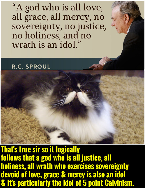 Sproul's Idol | That's true sir so it logically follows that a god who is all justice, all holiness, all wrath who exercises sovereignty devoid of love, grace & mercy is also an idol & it's particularly the idol of 5 point Calvinism. | image tagged in calvinism,arminian,molinism,idolatry,projection narcissism sociopath psychopath,false teacher subtle | made w/ Imgflip meme maker