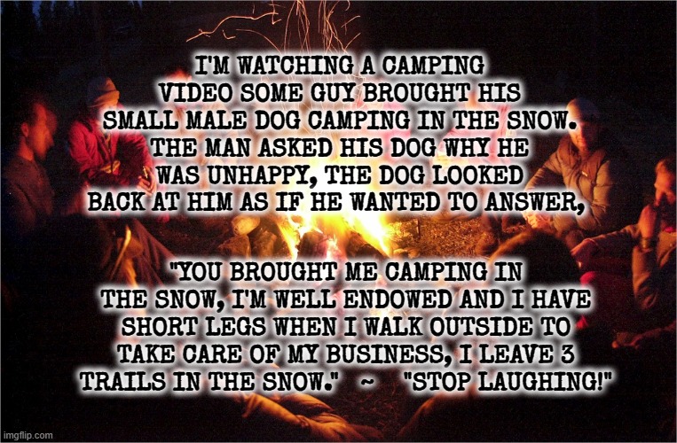 sitting around the camp fire | I'M WATCHING A CAMPING VIDEO SOME GUY BROUGHT HIS SMALL MALE DOG CAMPING IN THE SNOW. THE MAN ASKED HIS DOG WHY HE WAS UNHAPPY, THE DOG LOOKED BACK AT HIM AS IF HE WANTED TO ANSWER, "YOU BROUGHT ME CAMPING IN THE SNOW, I'M WELL ENDOWED AND I HAVE SHORT LEGS WHEN I WALK OUTSIDE TO TAKE CARE OF MY BUSINESS, I LEAVE 3 TRAILS IN THE SNOW."   ~    "STOP LAUGHING!" | image tagged in camp fire | made w/ Imgflip meme maker