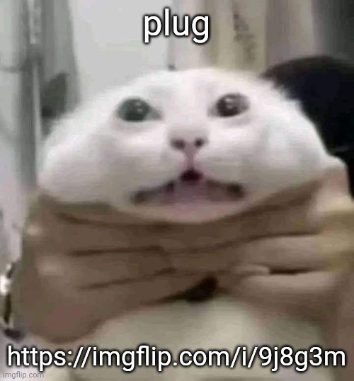 https://imgflip.com/i/9j8g3m | plug; https://imgflip.com/i/9j8g3m | image tagged in car | made w/ Imgflip meme maker