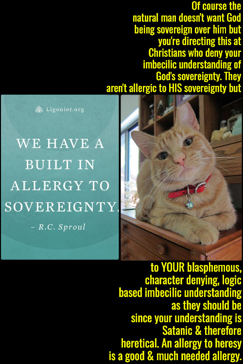 Our Allergy Is To His Interpretation Not God's | Of course the natural man doesn't want God being sovereign over him but you're directing this at Christians who deny your imbecilic understanding of God's sovereignty. They aren't allergic to HIS sovereignty but; to YOUR blasphemous, character denying, logic based imbecilic understanding as they should be since your understanding is Satanic & therefore heretical. An allergy to heresy is a good & much needed allergy. | image tagged in calvinism,arminian,molinism,asinine blasphemous logic based,ai marionette puppetry muppet corpse,reformed 5 point | made w/ Imgflip meme maker