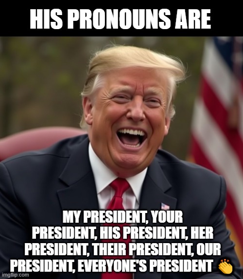 Trump Is Your President | HIS PRONOUNS ARE; MY PRESIDENT, YOUR PRESIDENT, HIS PRESIDENT, HER PRESIDENT, THEIR PRESIDENT, OUR PRESIDENT, EVERYONE'S PRESIDENT 👏 | image tagged in donald trump laughing | made w/ Imgflip meme maker