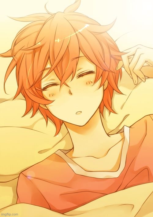 Cute anime boy sleeping | image tagged in cute anime boy sleeping | made w/ Imgflip meme maker