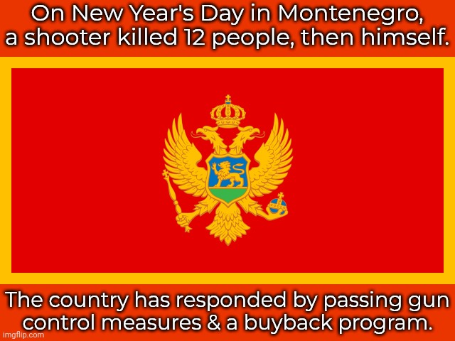 Illegal gun sales have been a problem in the past but they're cracking down on it now. | On New Year's Day in Montenegro, a shooter killed 12 people, then himself. The country has responded by passing gun
control measures & a buyback program. | image tagged in montenegro flag,mass shooting,the future world if | made w/ Imgflip meme maker