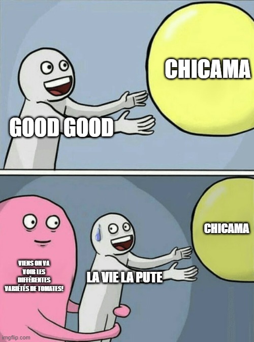 Running Away Balloon Meme | CHICAMA; GOOD GOOD; CHICAMA; VIENS ON VA VOIR LES DIFFÉRENTES VARIÉTÉS DE TOMATES! LA VIE LA PUTE | image tagged in memes,running away balloon | made w/ Imgflip meme maker