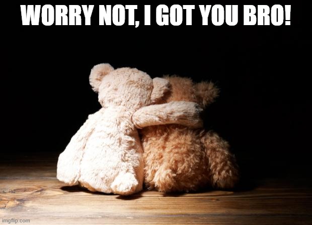 I got you | WORRY NOT, I GOT YOU BRO! | image tagged in bear hugs | made w/ Imgflip meme maker