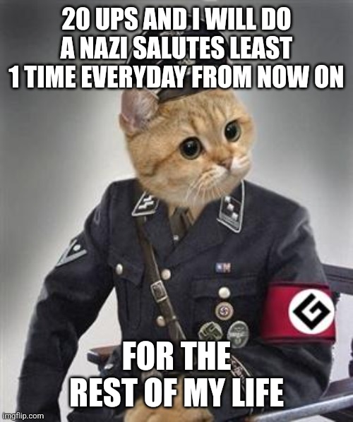 I'm crazy | 20 UPS AND I WILL DO A NAZI SALUTES LEAST 1 TIME EVERYDAY FROM NOW ON; FOR THE REST OF MY LIFE | image tagged in grammar nazi cat | made w/ Imgflip meme maker