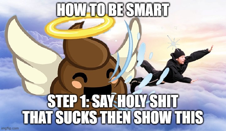 smart tutorial | HOW TO BE SMART; STEP 1: SAY HOLY SHIT THAT SUCKS THEN SHOW THIS | image tagged in holy crap that sucks man | made w/ Imgflip meme maker