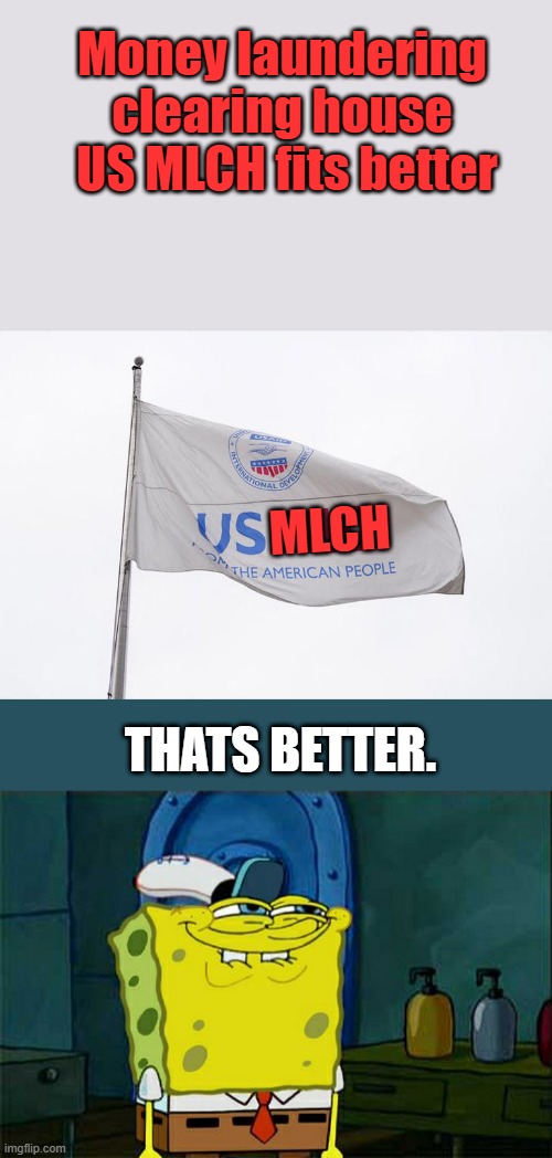 Money laundering clearing house  US MLCH fits better; MLCH; THATS BETTER. | image tagged in memes,don't you squidward | made w/ Imgflip meme maker