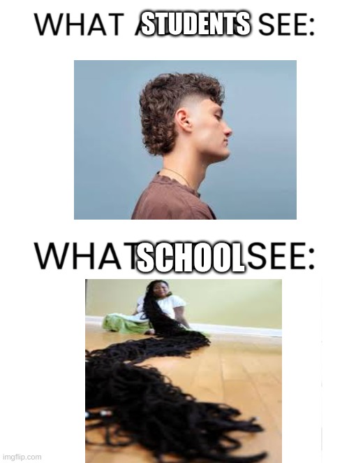 what school sees vs what students see | STUDENTS; SCHOOL | image tagged in what adults see what kids see | made w/ Imgflip meme maker