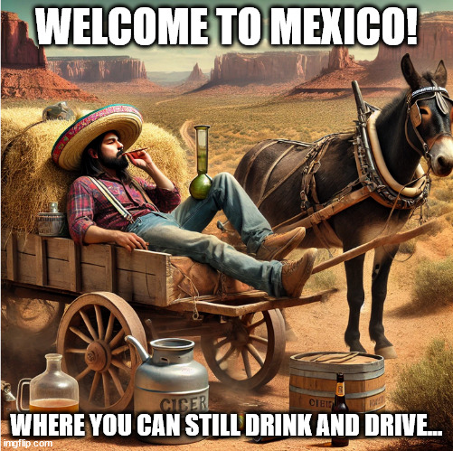 Drinking n Driving | WELCOME TO MEXICO! WHERE YOU CAN STILL DRINK AND DRIVE... | image tagged in drinking n driving,drunk,drunk baby,mexico,corona | made w/ Imgflip meme maker