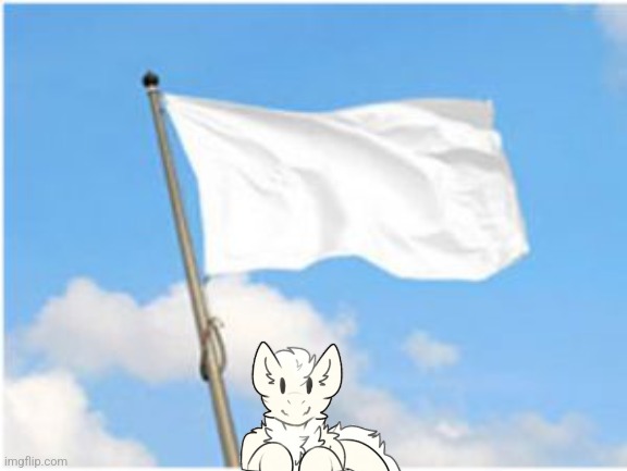 White flag | image tagged in white flag | made w/ Imgflip meme maker