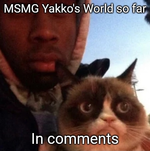 tyler the creator and grumpy cat | MSMG Yakko's World so far; In comments | image tagged in tyler the creator and grumpy cat | made w/ Imgflip meme maker