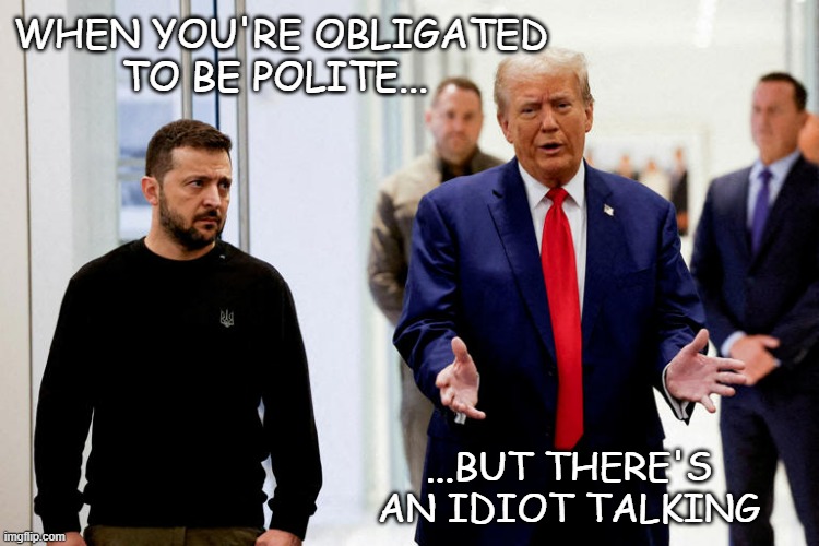 TFYM | WHEN YOU'RE OBLIGATED
TO BE POLITE... ...BUT THERE'S AN IDIOT TALKING | image tagged in zelensky trump | made w/ Imgflip meme maker