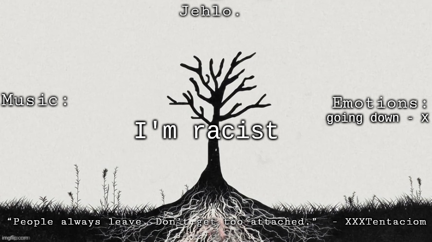 Jehlo Template. | I'm racist; going down - X | image tagged in jehlo template | made w/ Imgflip meme maker