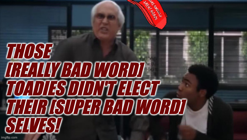 THOSE
[REALLY BAD WORD]
TOADIES DIDN'T ELECT
THEIR [SUPER BAD WORD]
SELVES! | made w/ Imgflip meme maker