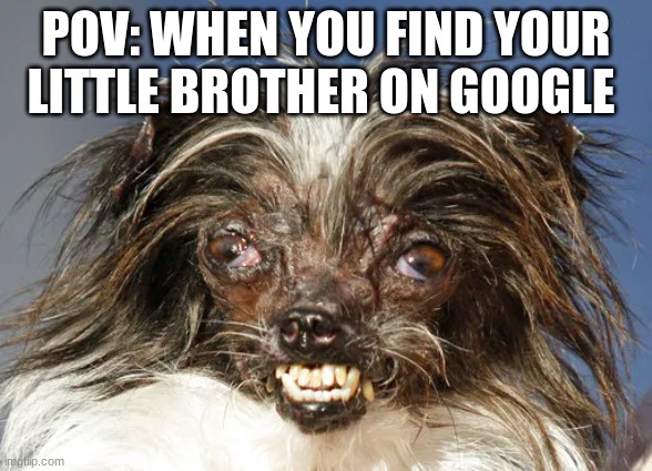 idk | POV: WHEN YOU FIND YOUR LITTLE BROTHER ON GOOGLE | made w/ Imgflip meme maker