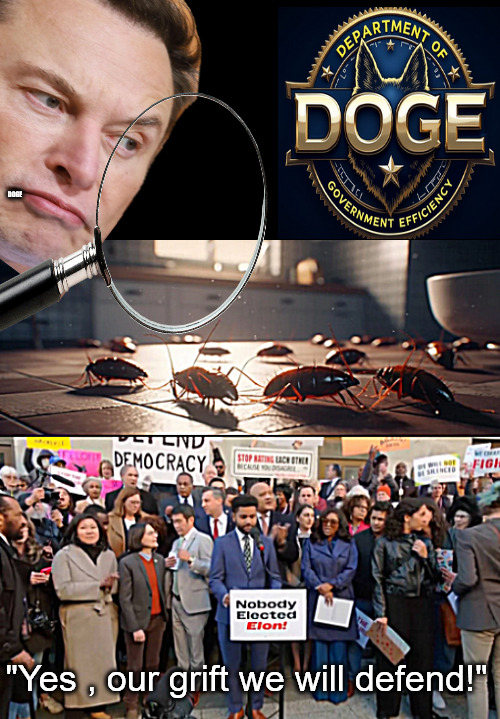 Black Flagging the American Grift | DOGE; "Yes , our grift we will defend!" | image tagged in memes,politics,elon musk,trump,doge | made w/ Imgflip meme maker