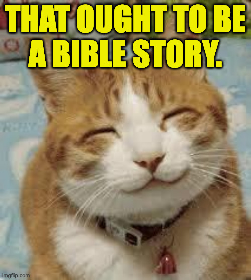 Happy cat | THAT OUGHT TO BE
A BIBLE STORY. | image tagged in happy cat | made w/ Imgflip meme maker