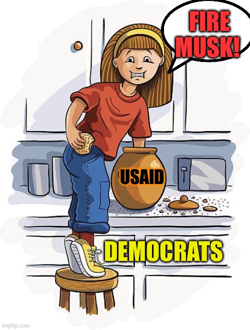 The Democrats Doth protest too much, methinks | FIRE MUSK! USAID; DEMOCRATS | image tagged in gifs,democrats,hypocrites,corrupt,big government | made w/ Imgflip meme maker