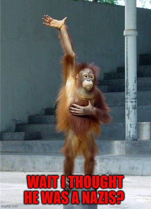 Monkey Raising Hand | WAIT I THOUGHT HE WAS A NAZIS? | image tagged in monkey raising hand | made w/ Imgflip meme maker