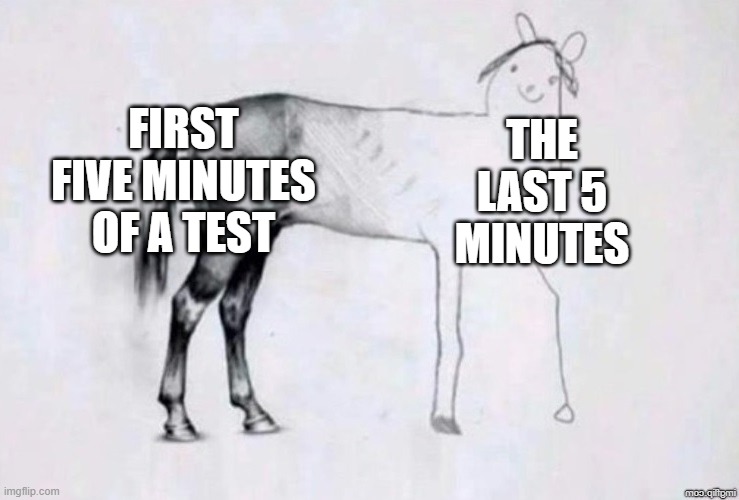 Horse Drawing | FIRST FIVE MINUTES OF A TEST; THE LAST 5 MINUTES | image tagged in horse drawing | made w/ Imgflip meme maker